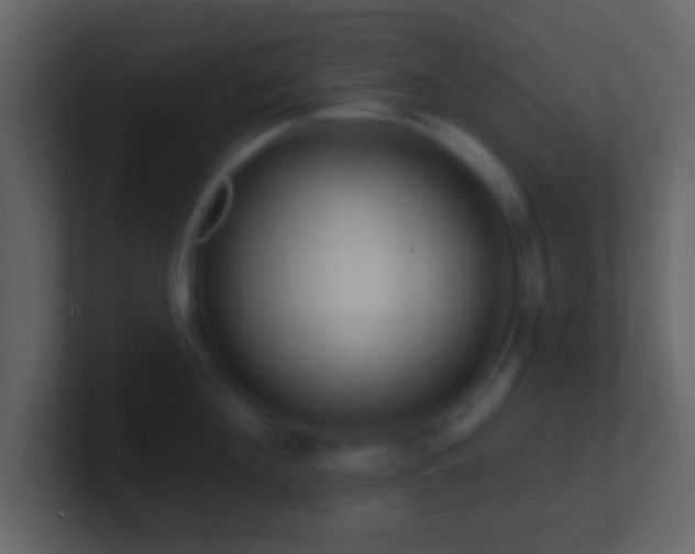 X0000101400908200807071216