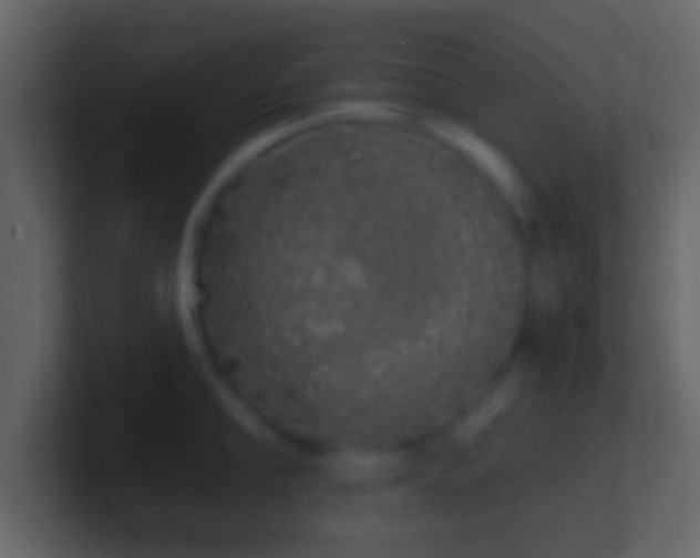 X0000101400910200807071216