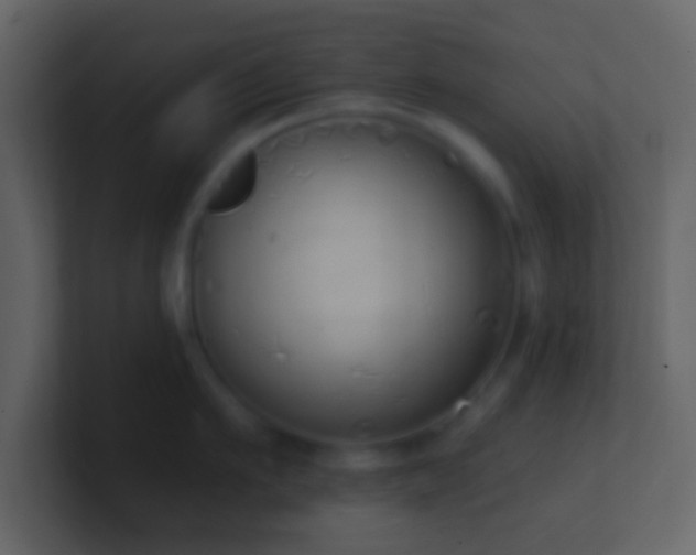 X0000101400911200807071216
