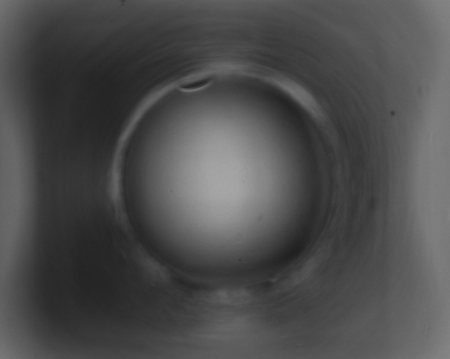 X0000101400912200807071216