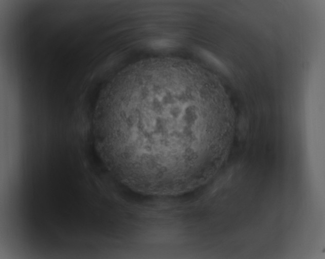X0000101400917200807071215