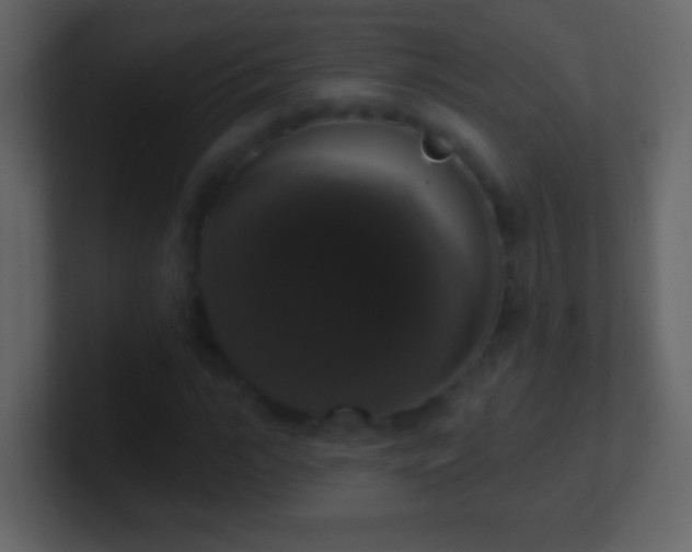 X0000101400919200807071215