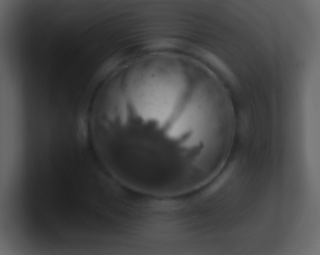 X0000101400921200807071215