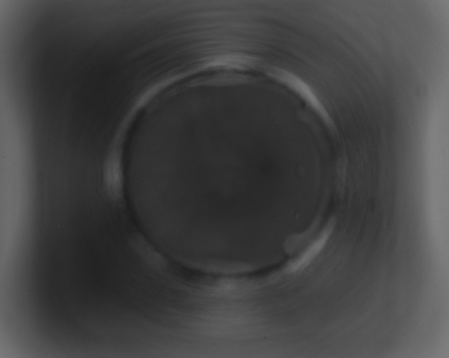 X0000101400923200807071215