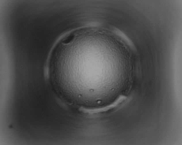 X0000101400924200807071215