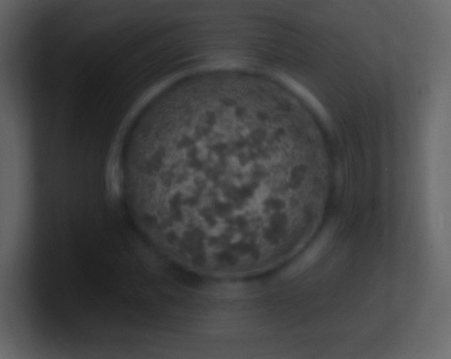 X0000101400925200807071215