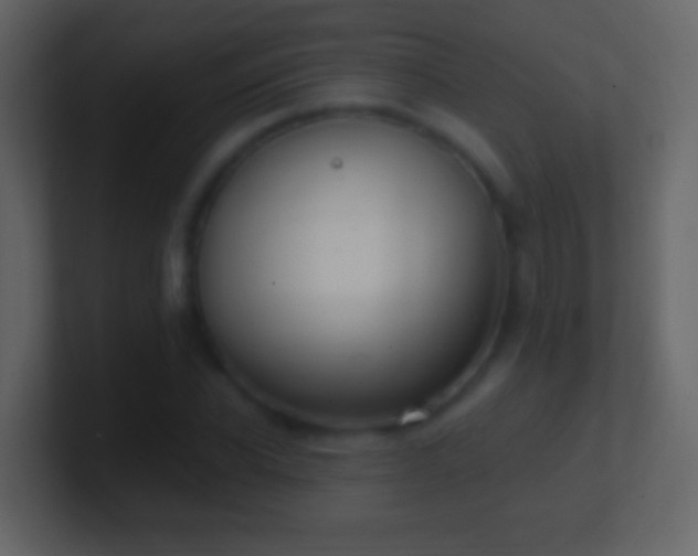 X0000101400926200807071215