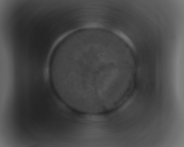 X0000101400928200807071215
