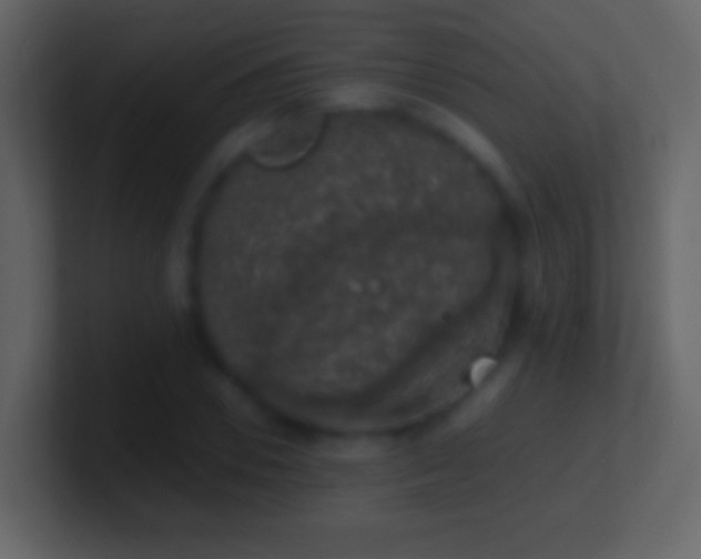 X0000101400930200807071215