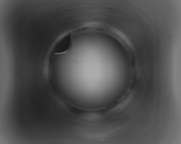 X0000101400931200807071215