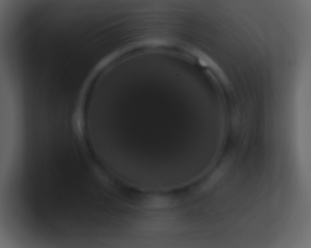 X0000101400935200807071215