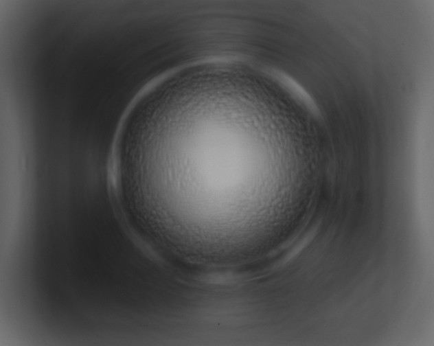 X0000101400940200807071216