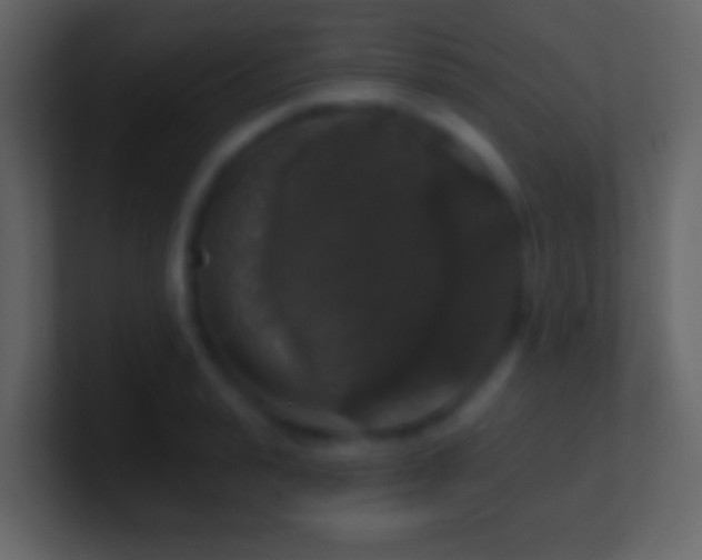 X0000101400943200807071216