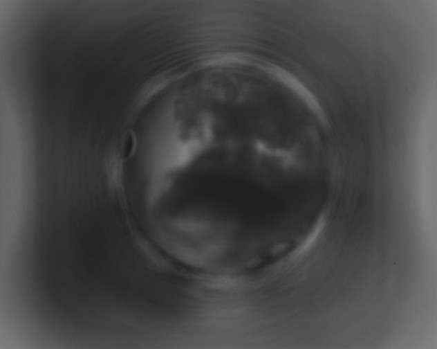 X0000101400945200807071216