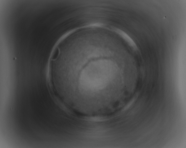 X0000101400948200807071216