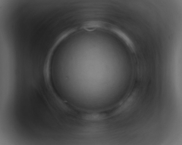 X0000101400949200807071216