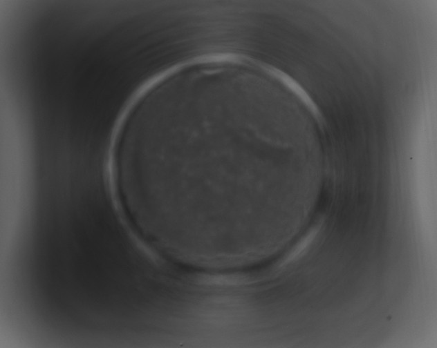 X0000101400951200807071216
