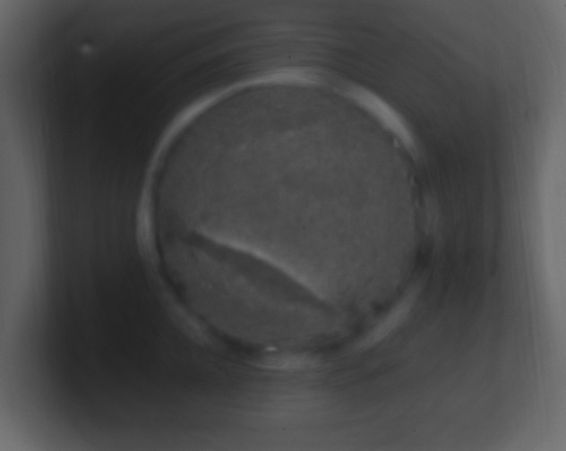 X0000101400952200807071216