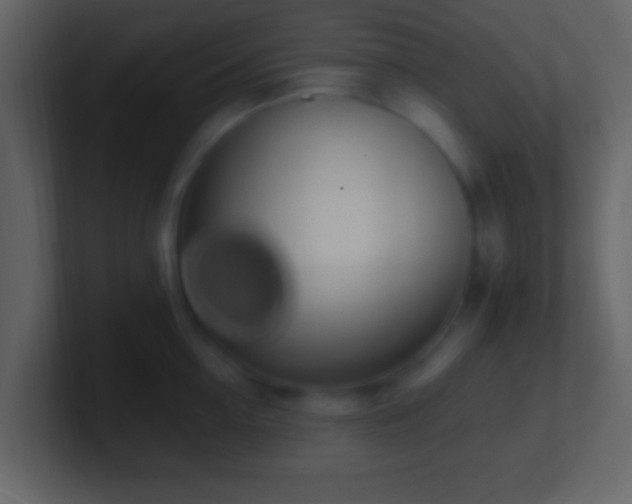 X0000101400954200807071216