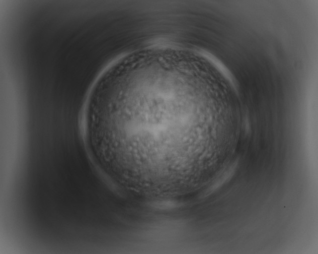 X0000101400957200807071216
