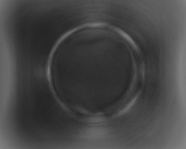 X0000101400959200807071216