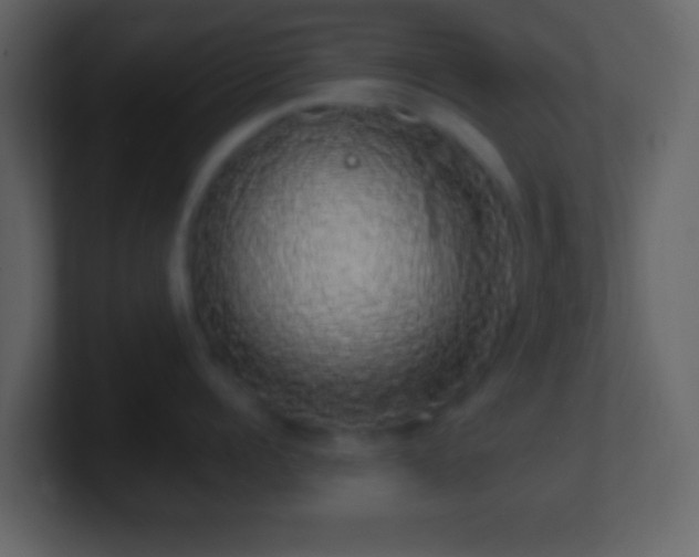 X0000101400960200807071216
