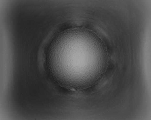 X0000101400961200807071215