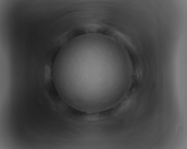 X0000101400964200807071215