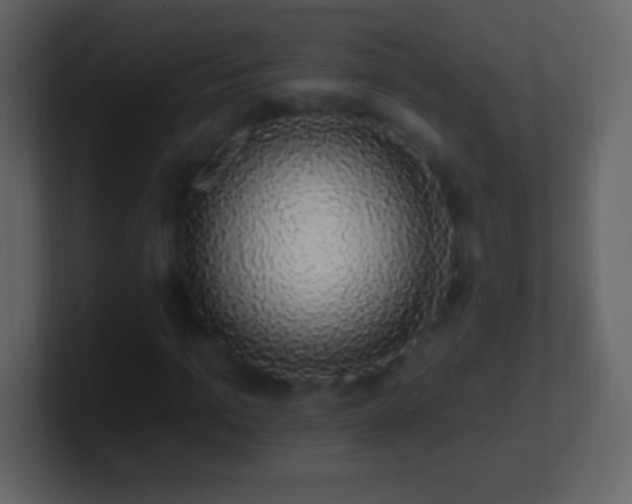 X0000101400965200807071215