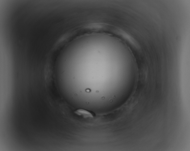 X0000101400967200807071215