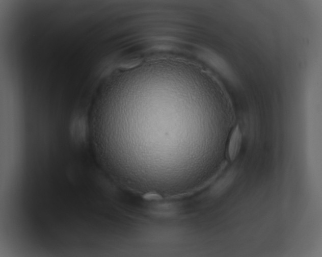 X0000101400969200807071215