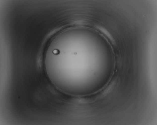 X0000101400971200807071215
