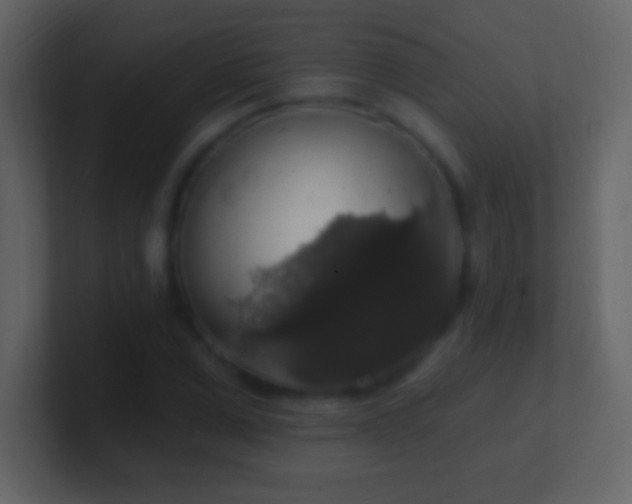 X0000101400975200807071215
