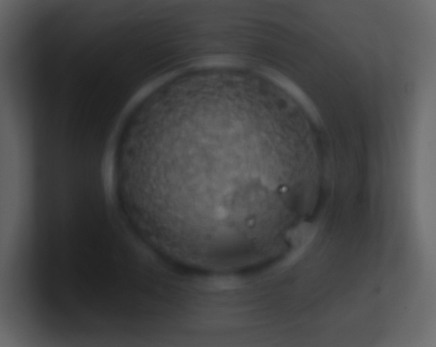 X0000101400983200807071215