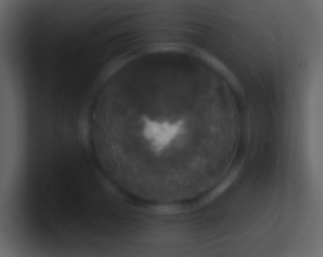 X0000101400985200807071215