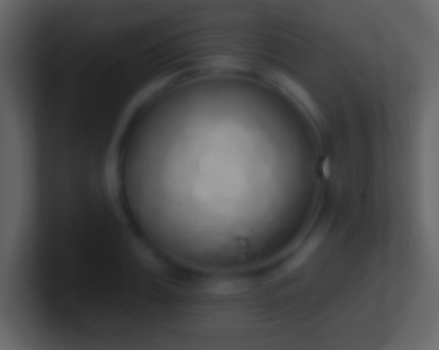 X0000101400987200807071215