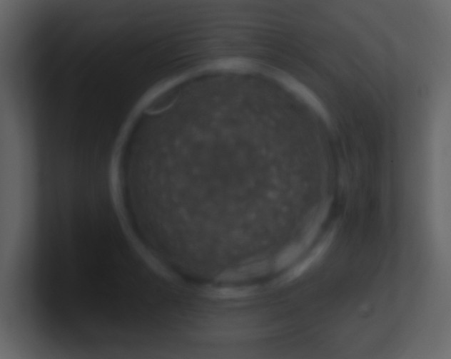 X0000101400989200807071215