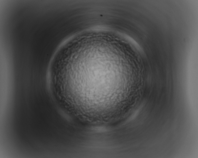 X0000101400990200807071215