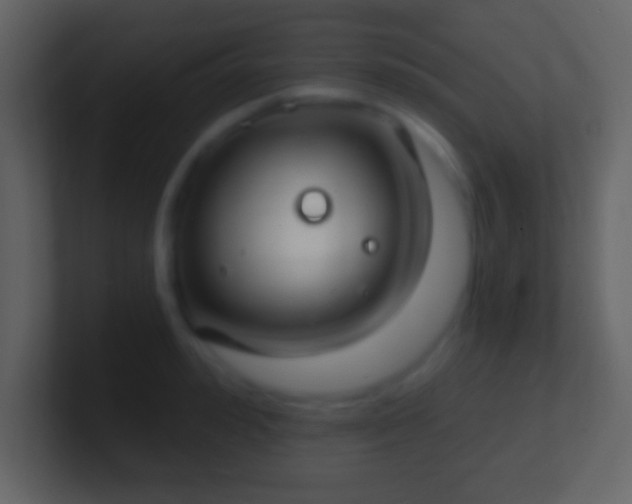 X0000101400992200807071215