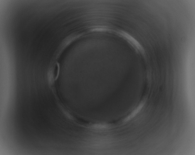 X0000101400993200807071215