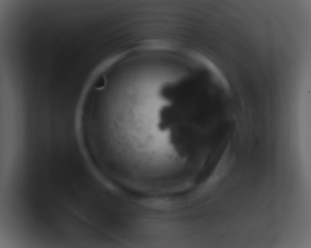 X0000101400995200807071215