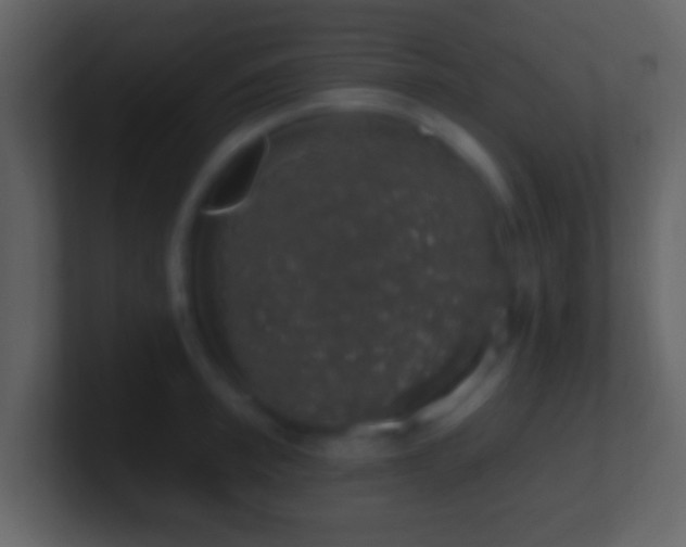 X0000101400997200807071215