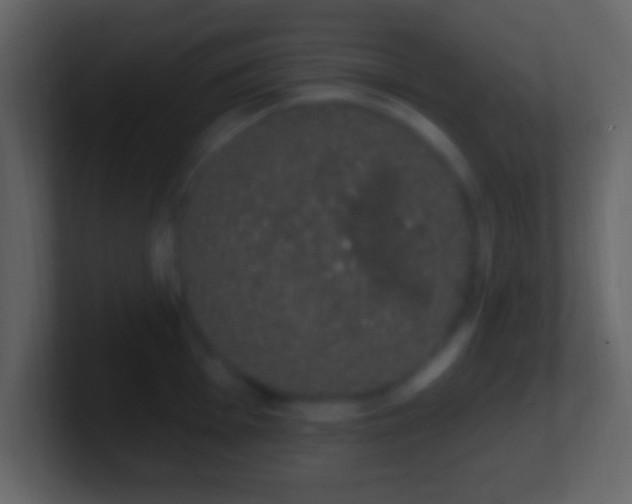 X0000101401001200807071215