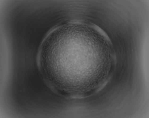 X0000101401002200807071215