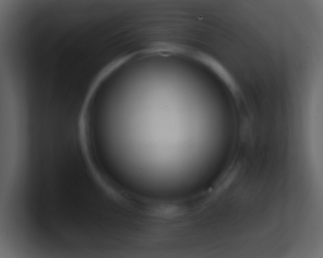 X0000101401003200807071215