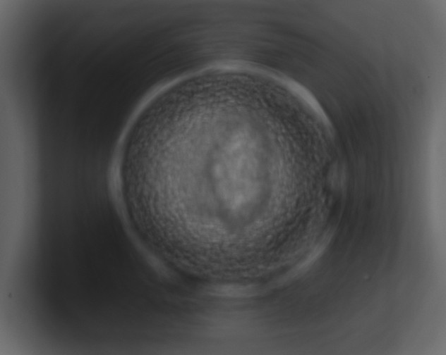 X0000101401005200807071215