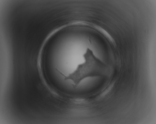 X0000101401007200807071215
