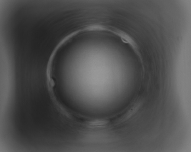 X0000101401008200807071215