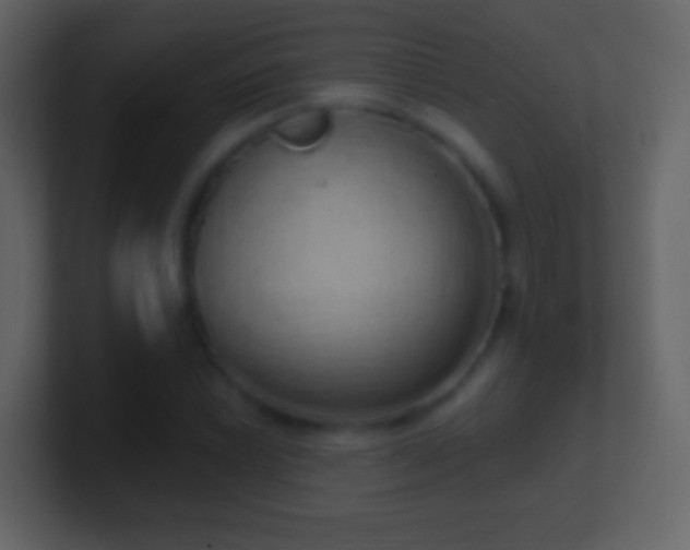 X0000101401022200807071214
