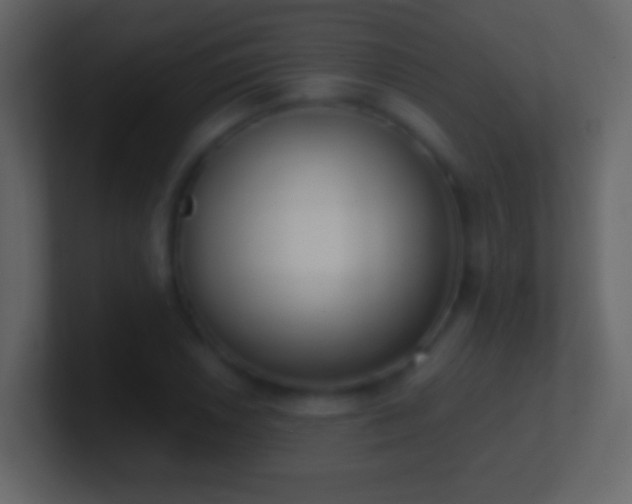 X0000101401026200807071214